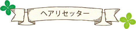 ヘアリセッター