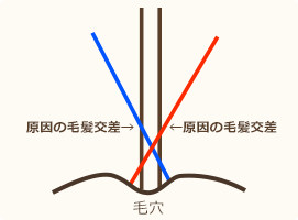 ヘアリセッターってなにをするの？画像