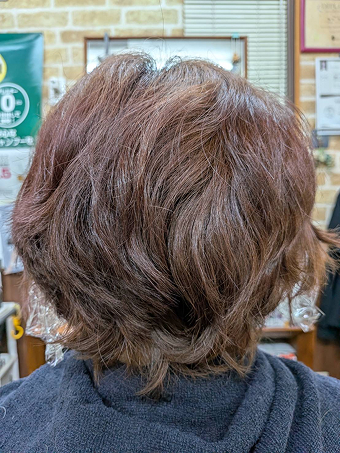 エクストラリペア施術